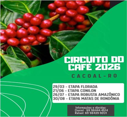 Imagem de capa do card