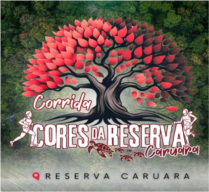 Imagem de capa do card